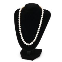 A single row cultured pearl necklace, having uniform pearls, each approximately 7.5mm, 9k yellow ...