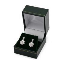 A pair of 18k white gold and diamond flowerhead cluster earrings, each earring set with eight rou...