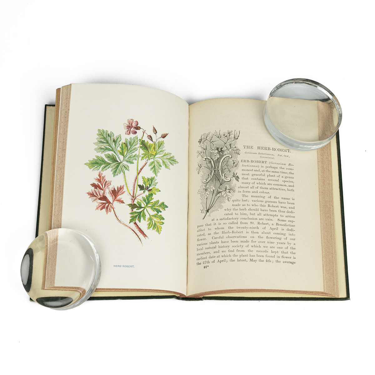 Frederick Edward Hulme FLS FSA: "Familiar Wild Flowers" six series in six volumes, published by C... - Image 5 of 5