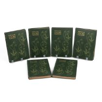 Frederick Edward Hulme FLS FSA: "Familiar Wild Flowers" six series in six volumes, published by C...