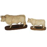 Beswick - two Charolais bulls - on wooden plinths. The first a larger model (height 19.5cm includ...