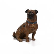A 20th century Austrian cold painted bronze model of a standing pug dog, the back stamped "Berg" ...