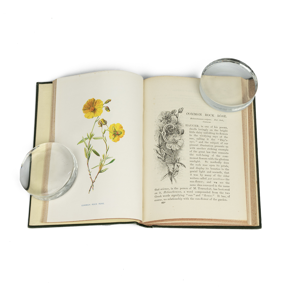 Frederick Edward Hulme FLS FSA: "Familiar Wild Flowers" six series in six volumes, published by C... - Image 3 of 5