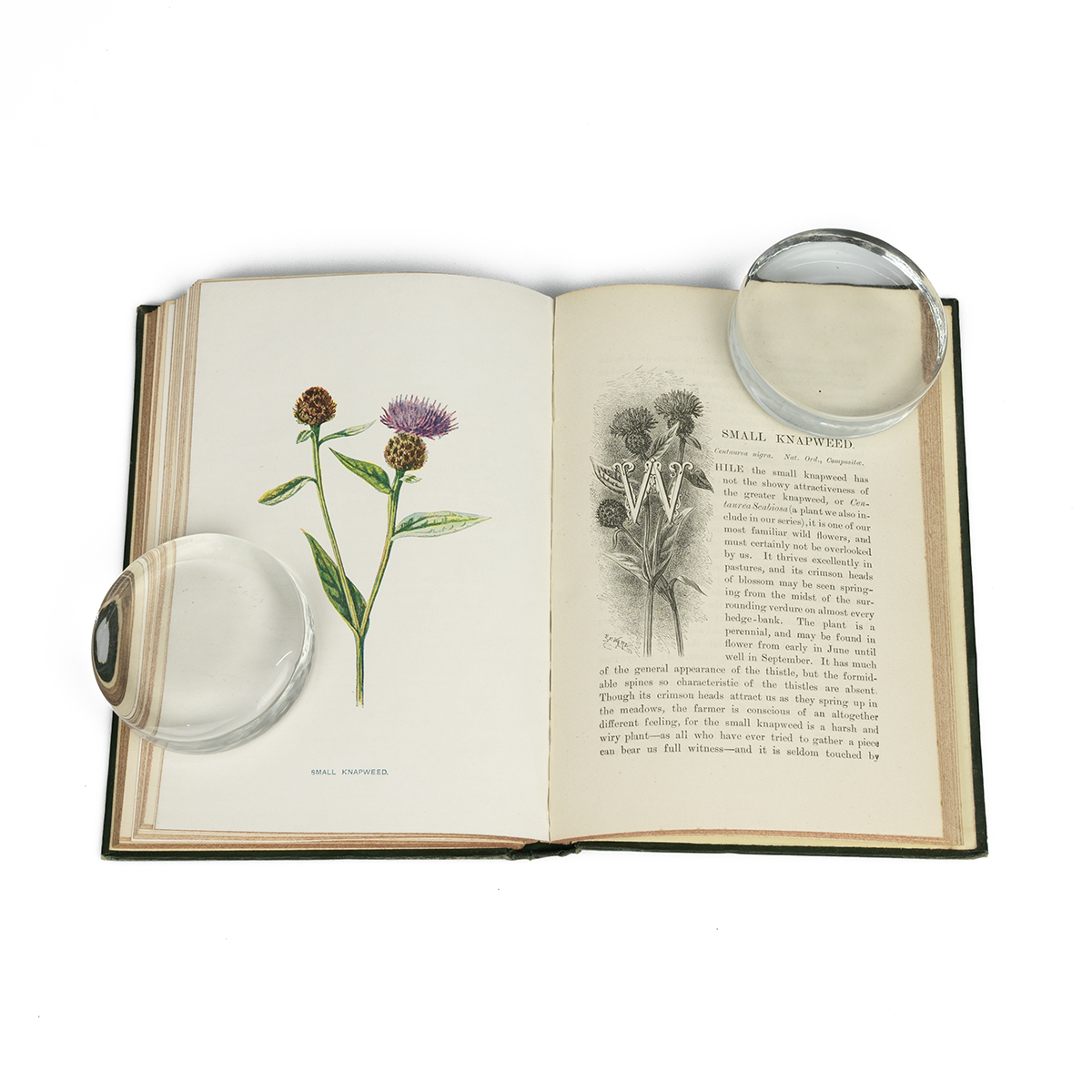 Frederick Edward Hulme FLS FSA: "Familiar Wild Flowers" six series in six volumes, published by C... - Image 4 of 5