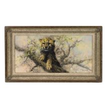 Tony Forrest (born 1961) - Cheetah in a Tree, oil on canvas, signed and copyrighted 'Tony Forrest...