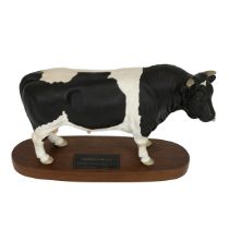 Beswick Connoisseur model of a Friesian Bull on wooden stand. Height (inc stand) 19cm, length 29c...