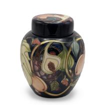 Moorcroft Queen's Choice large ginger jar by Emma Bossons pattern 769/8. Good marks to base. Heig...