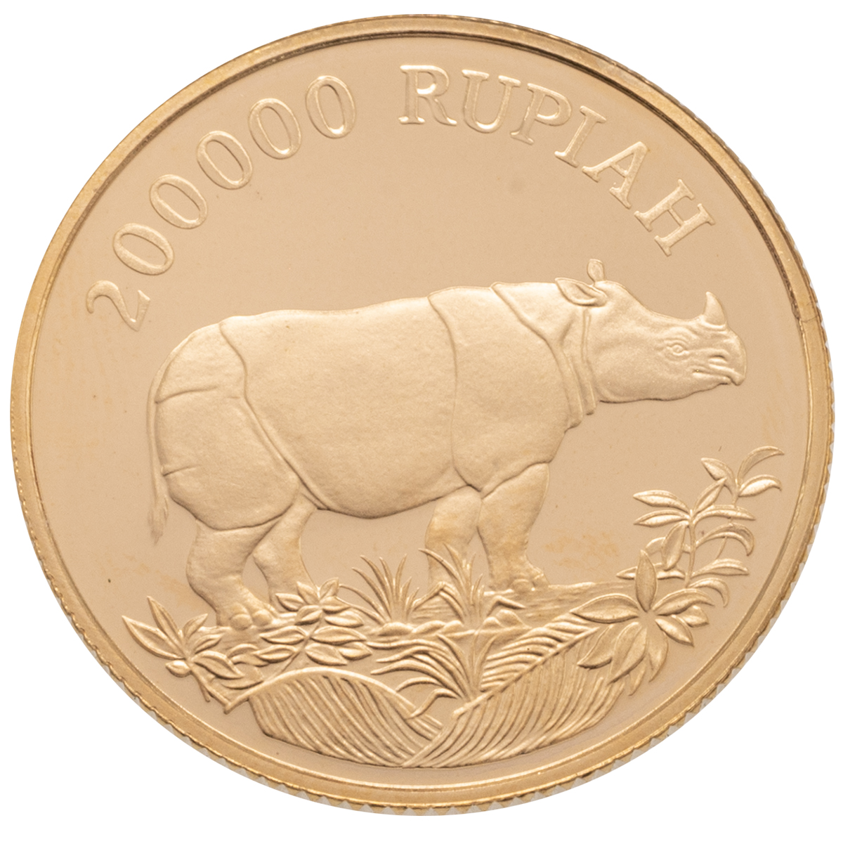 1987 Indonesian gold proof 200,000 Rupiah World Wildlife Fund (WWF) rhino coin in case with certi...