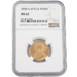 1898 South Africa Z.A.R. 22-carat gold Pond coin graded MS 62 and sealed in holder by NGC. Obvers...