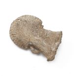 A quality medieval pilgrim's ampulla, flat and bag-shaped, moulded from a lead alloy and decorate...