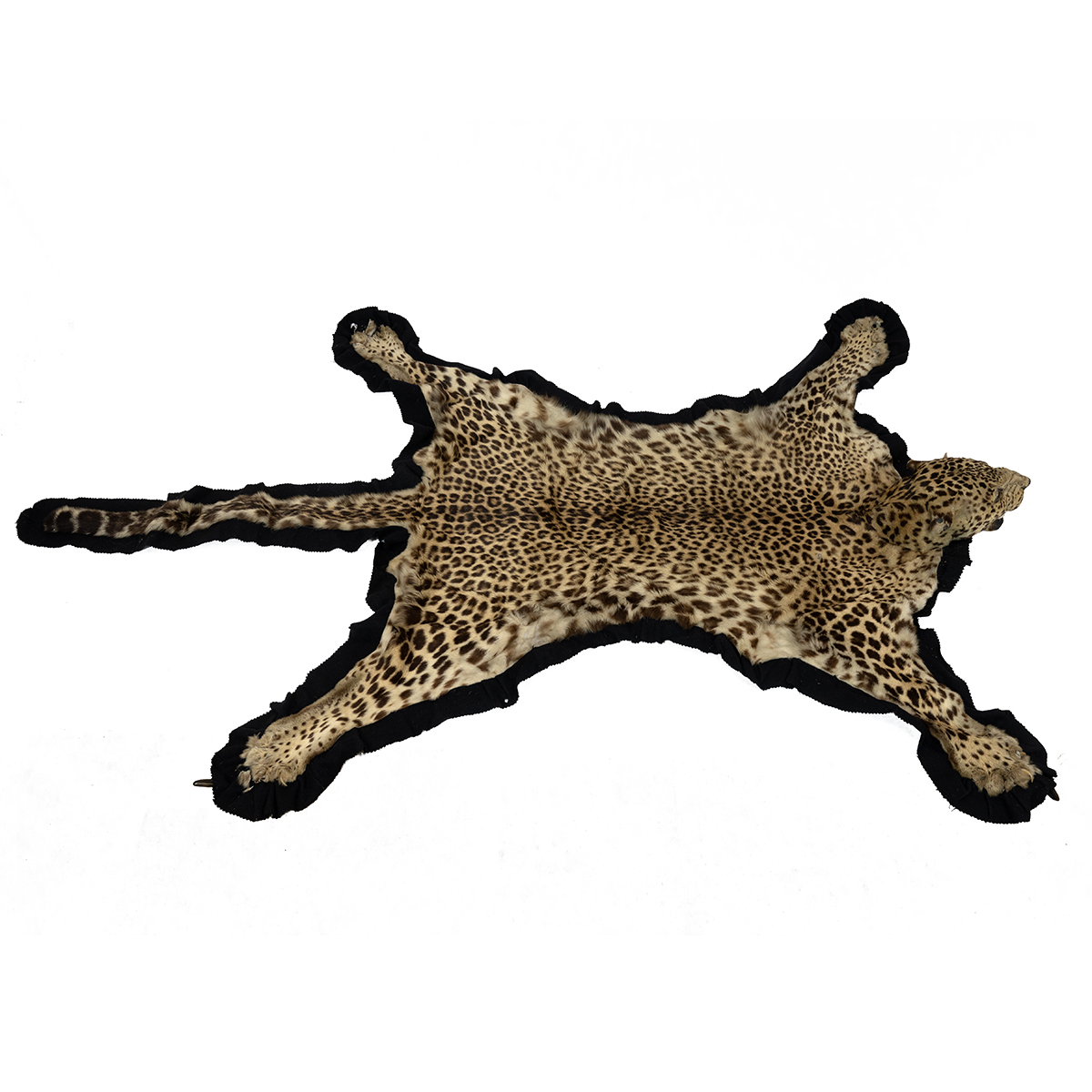 Taxidermy: An Indian leopard skin rug by Van Ingen & Van Ingen, circa 1928, the skin with snarlin... - Image 2 of 6