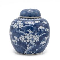 Chinese late Qing Dynasty (1644-1911) blue and white ginger jar with original lid, decorated whit...