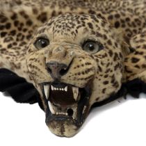 Taxidermy: An Indian leopard skin rug by Van Ingen & Van Ingen, circa 1928, the skin with snarlin...