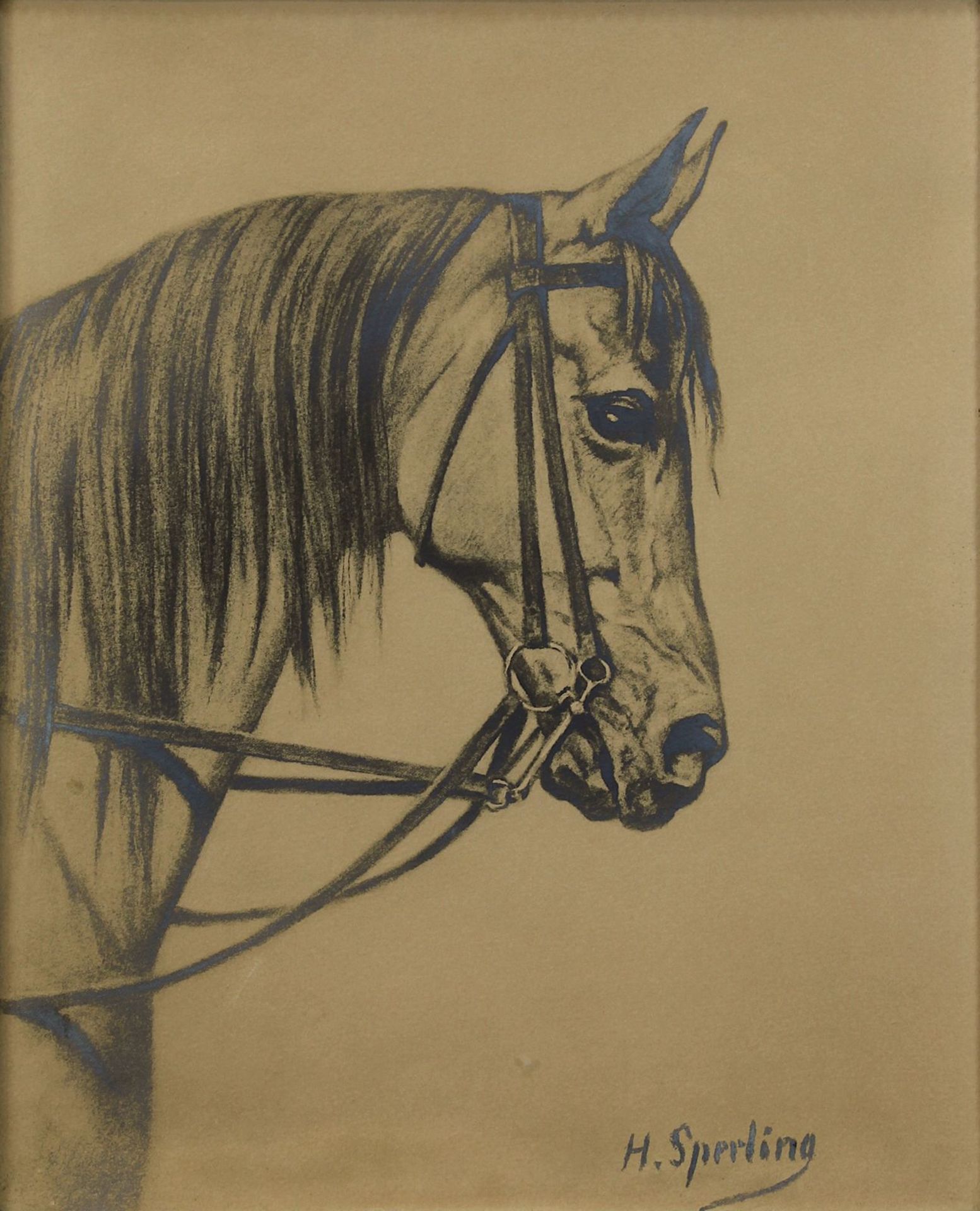 Sperling, Heinrich (Warnkenhagen 1844 - 1924 Berlin), Pferdekopf mit Zaumzeug, Kreidezeichnung, - Bild 2 aus 2