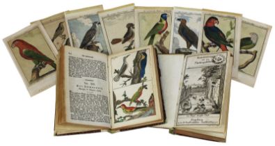 G. T. Wilhelm "Unterhaltungen aus der Naturgeschichte - Der Vögel", 1. u. 2. Teil, Augsburg 1834,