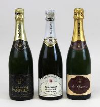 3 Flaschen Champagner, 2. H. 20. Jh.: eine Flasche Champagne Pannier, Brut, Château - Thierry;