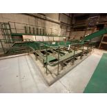 Saxlund FOUR TRACK WALKING LADDER PUSH FLOOR INTAKE, ladders approx. 6m wide x 20m long, with