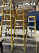 Werner Eight Rise Fibre Glass Frame Stepladder Please read the following important notes:- ***