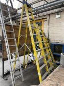 Werner Ten Rise Fibre Glass Frame Stepladder Please read the following important notes:- ***Overseas