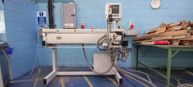 RKS SM600AL -SM3300AL Linear Squeege Grinding Machine, year of manufacture 2010, approx. 1680mm high