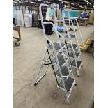 Four Rise Stepladder Please read the following important notes:- ***Overseas buyers - All lots are