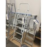 Four Rise Step Ladder Please read the following important notes:- ***Overseas buyers - All lots