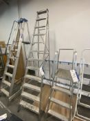 Alloy 12 Rise Stepladder Please read the following important notes:- ***Overseas buyers - All lots