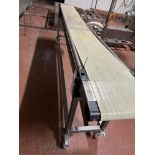 Cheetah/ Syspal Mobile Conveyor, approx. 3m x 0.3m x 0.9m high, lift out charge - £30 + VAT, lot