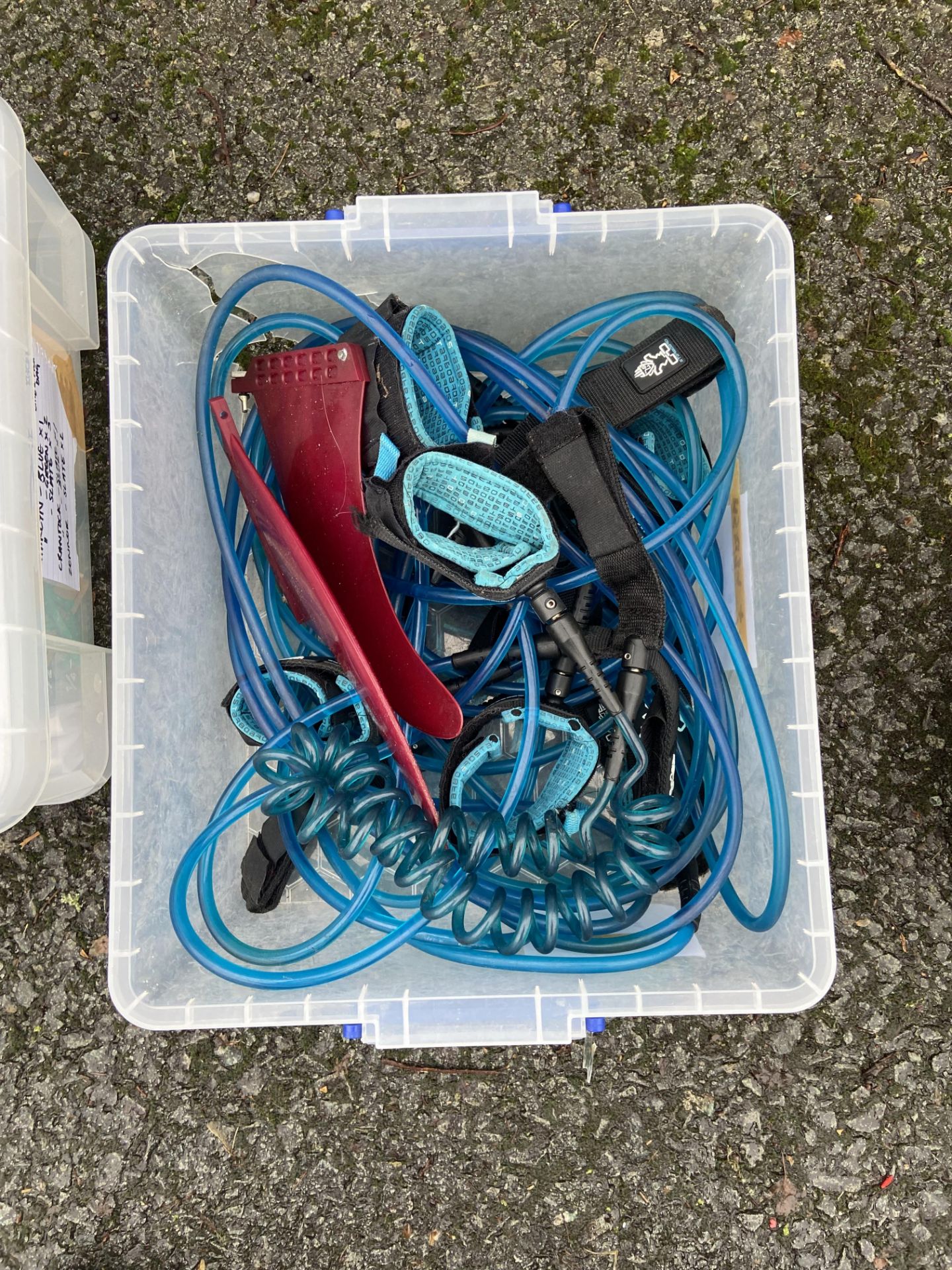 Assorted Paddle Boarding Equipment, including guide belts, fins and leashes, as set out in three - Image 2 of 3