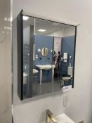 HIB Double Door Wall Mounted Mirrored Cabinet, approx. 600mm x 700mm Please read the following