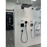 Hansgrohe Rain Dance E Shower System (understood to be a display unit and may not be complete -