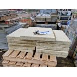 11 Paving Slabs, Approx. 440x440x50mm Please read the following important notes:- ***Overseas buyers