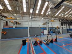 Lifting Systems Two Single Girder Gantry Cranes, SWL 2T, crane numbers 69772 & 69771, rebuild