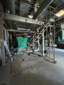 13 Step Warehouse Ladder