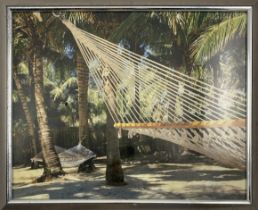 Photograph of Island Hammocks