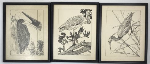 Grouping of 3 - Mary Mapes, Bird Prints