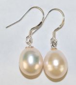 Ohrringe mit weißen SW-Perlen ca. 1,2 x 1,0 cm, Ohrhaken 925er Silber