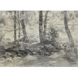 Wolf, Georg (1882 Düsseldorf- 1962 Uelzen) "Landschaft", Zeichnung, unsign., rückseitig auf Blatt N