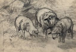 Wolf, Georg (1882 Düsseldorf-1962 Uelzen) "Schafe auf der Weide", Zeichnung, rückseitig WVZ-Nr. 145