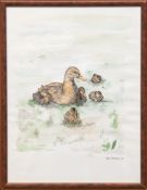 Scheutzlich, Sonja "Enten", aquarellierte Federzeichnung, sign. u.r. und dat. ´99, 39x29 cm, hinter