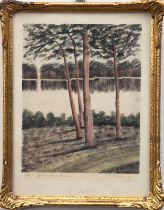 Martens, H. "Am Grunewaldsee", kolorierte Radierung, 18,5x15 cm, hinter Glas und Rahmen