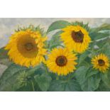 Rundspaden, K. "Sonnenblumen", Öl/ Hartfaser, sign. u.r. und dat. 1961, 58x80 cm, Rahmen
