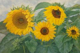 Rundspaden, K. "Sonnenblumen", Öl/ Hartfaser, sign. u.r. und dat. 1961, 58x80 cm, Rahmen