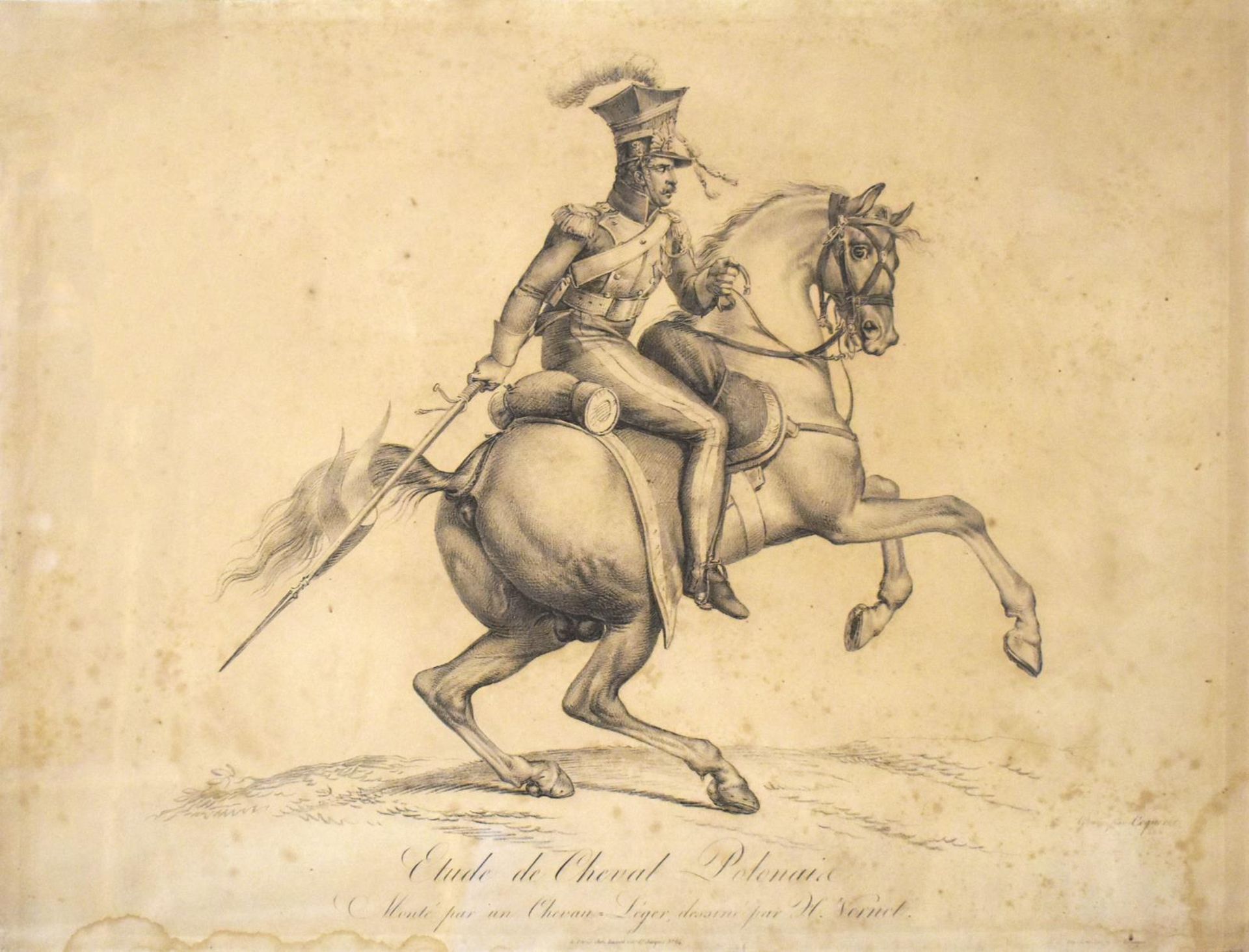 COQUERET, PIERRE CHARLES. Étude de Cheval Polonais. Aquatinta.