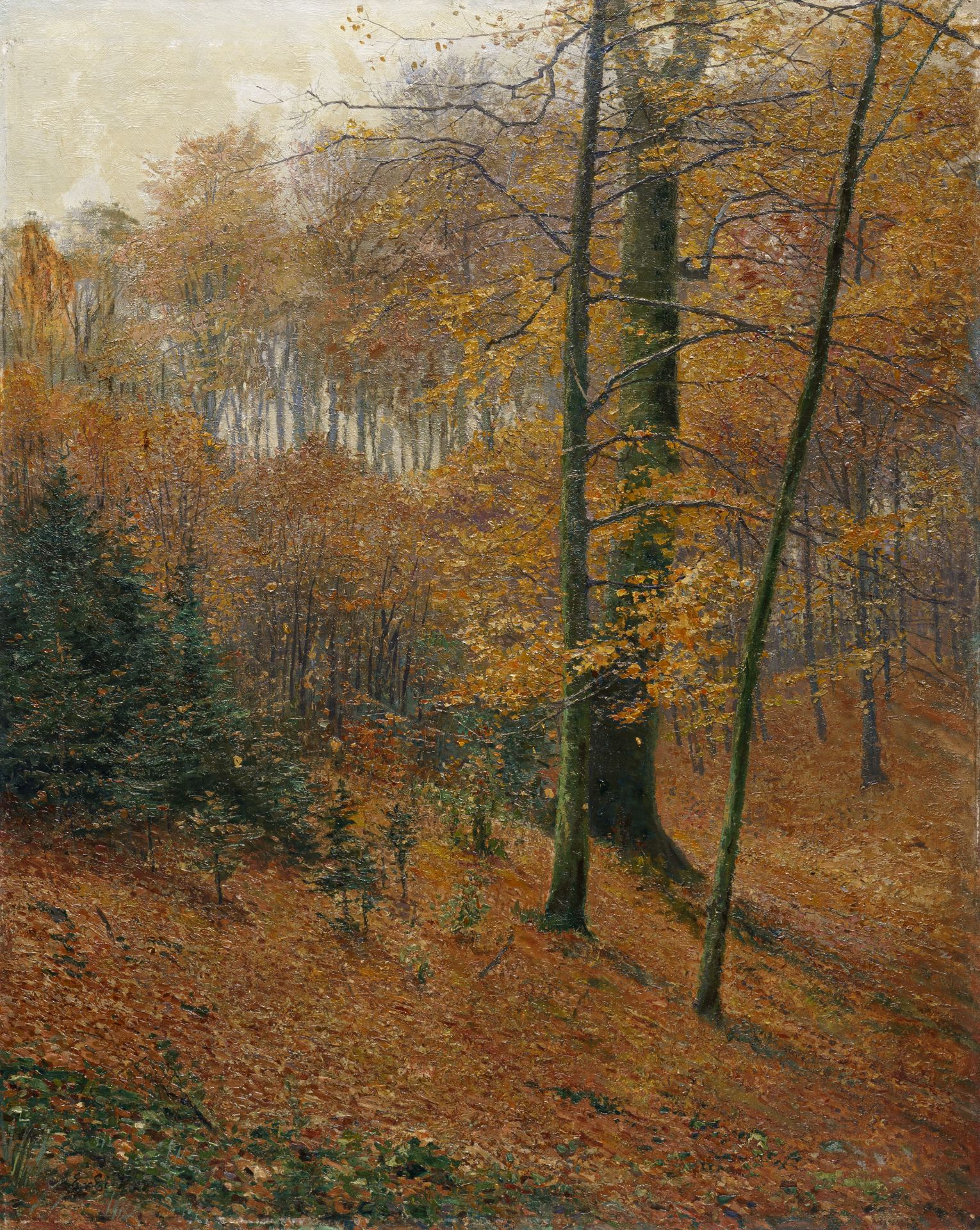 Elisabeth von Eicken "Herbstgold" (Darßer Buchenwald). Wohl nach 1912.