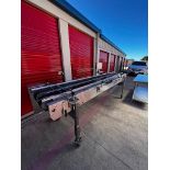 (Located in Georgetown, TX) Reiser Conveyor Belt, 43812-1H INDEXING CONVEYOR