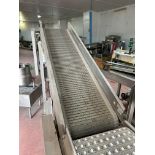 Lot Location: Hartley IA - Incline Belt Conveyor, 1 HP Motor