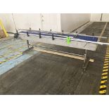 Stainless steel frame mattop conveyor system , 20 in w x 98 in lg Rigging Fee: $ 100