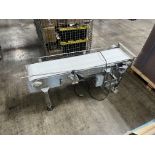 PCS Conveyor 1/2 HP 62” x 24”