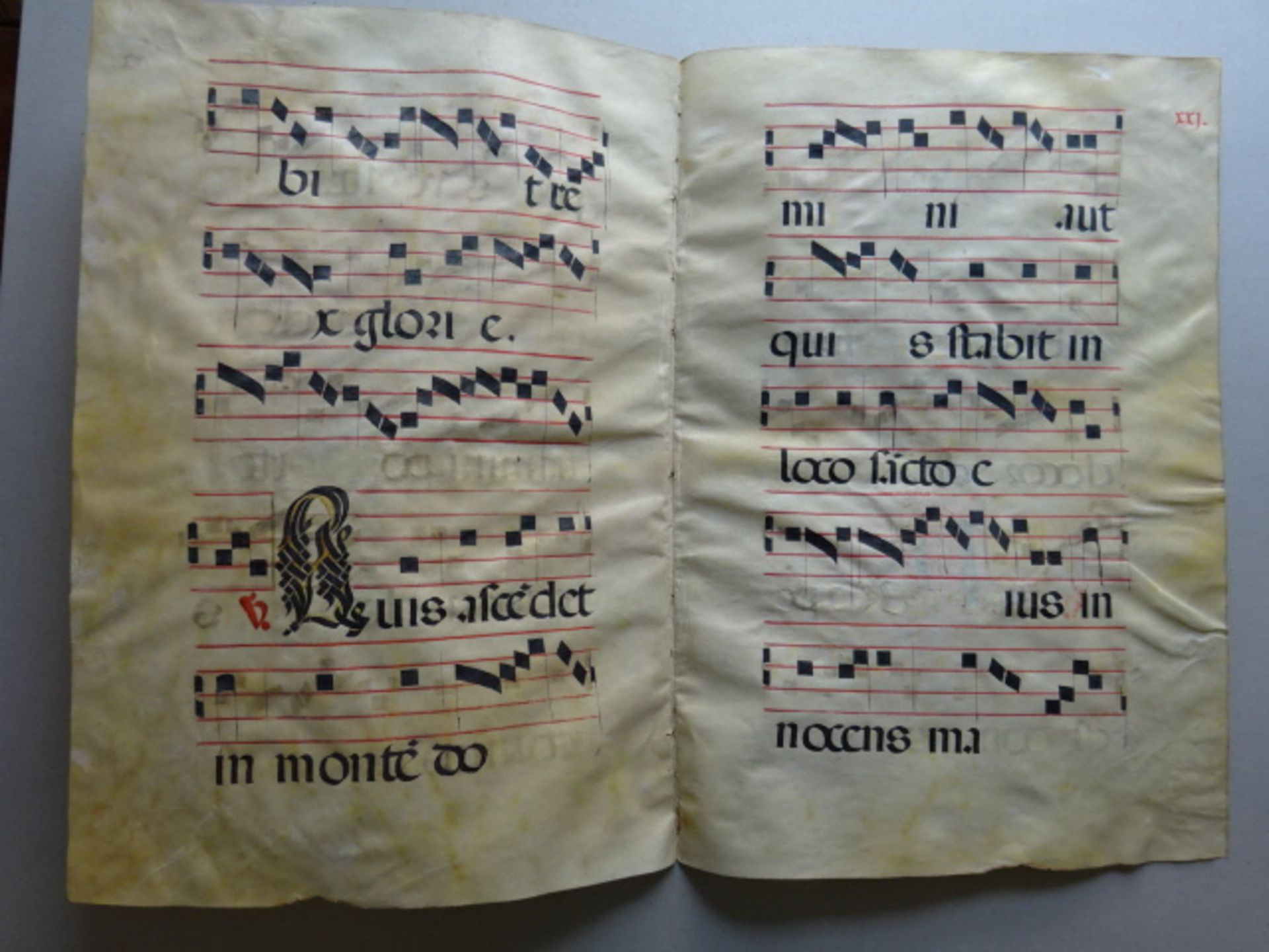Antiphonar - 2 Choral-Doppelblätter - Bild 6 aus 6